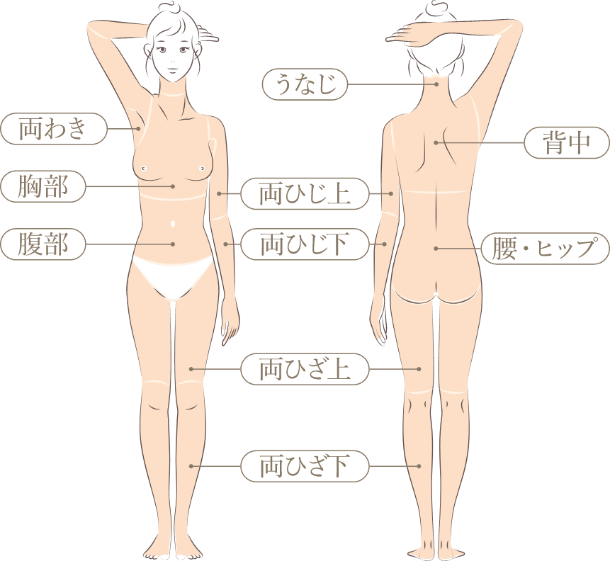 全身脱毛施術部位